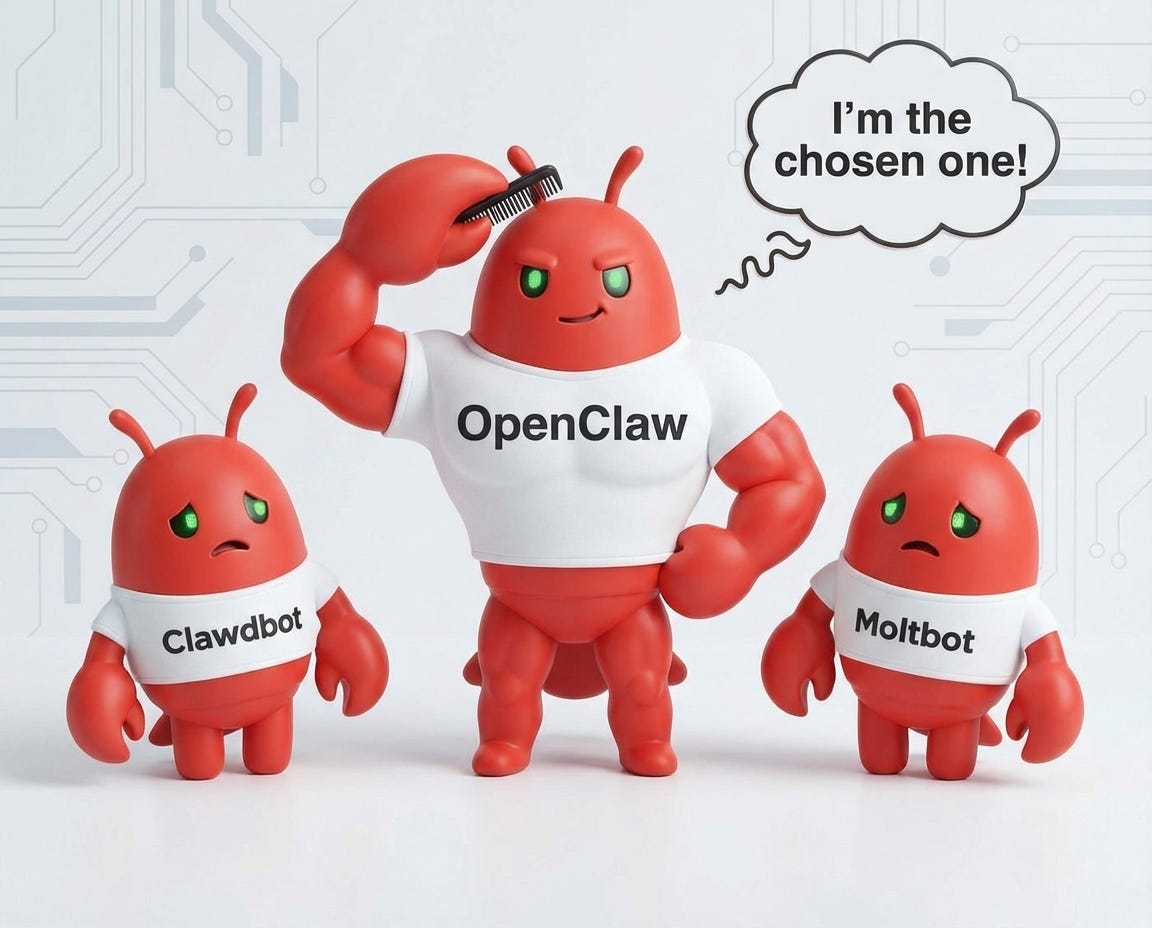 Portada de Guía VARIANTES - Las 8 versiones alternativas de OpenClaw